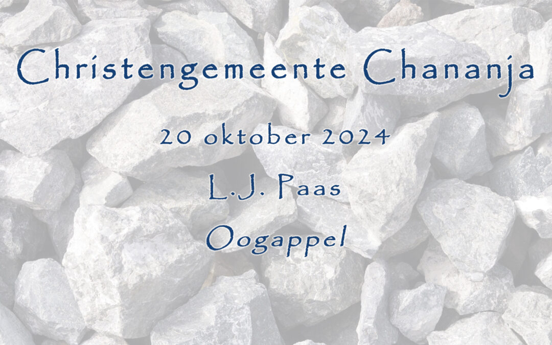 20-10-2024 – L.J. Paas – Oogappel